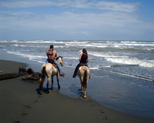 Costa Rica-Caribbean Coast-Caribbean Delight